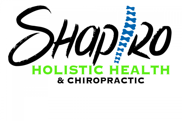 Ezzey SEO client - Shapiro Holistic Health & Chiropractic Center